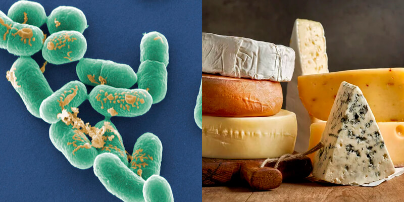 Một số loại phô mai có vi khuẩn Listeria có thể dẫn đến nguy cơ sảy thai, sinh non hoặc thai chết lưu.