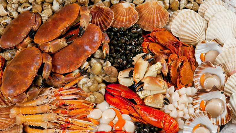 Hải sản là thực phẩm chứa nhiều sắt và Vitamin