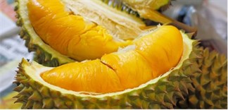 Sầu riêng: 10 tác dụng của sầu riêng đối với sức khỏe