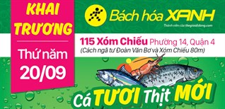 Siêu thị Bách hoá XANH 115 Xóm Chiếu khai trương 20/09/2018