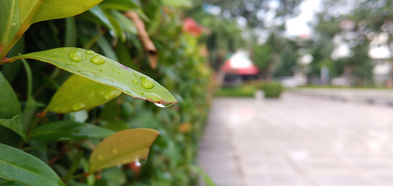 Đánh giá Vivo V11i