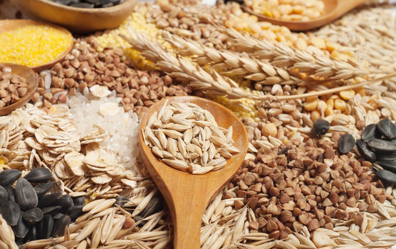 Các loại ngũ cốc chứa rất nhiều dưỡng chất quan trọng và cần thiết cho sự phát triển não bộ của thai nhi. Những vi chất như axit folic và choline sẽ giúp ngăn ngừa dị tật nứt đốt sống và các dị tật ống thần kinh. Các loại ngũ cốc chứa rất nhiều dưỡng chất quan trọng và cần thiết cho sự phát triển não bộ của thai nhi. Những vi chất như axit folic và choline sẽ giúp ngăn ngừa dị tật nứt đốt sống và các dị tật ống thần kinh.