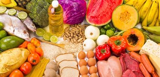 Thực phẩm giúp phát triển não bộ thai nhi
