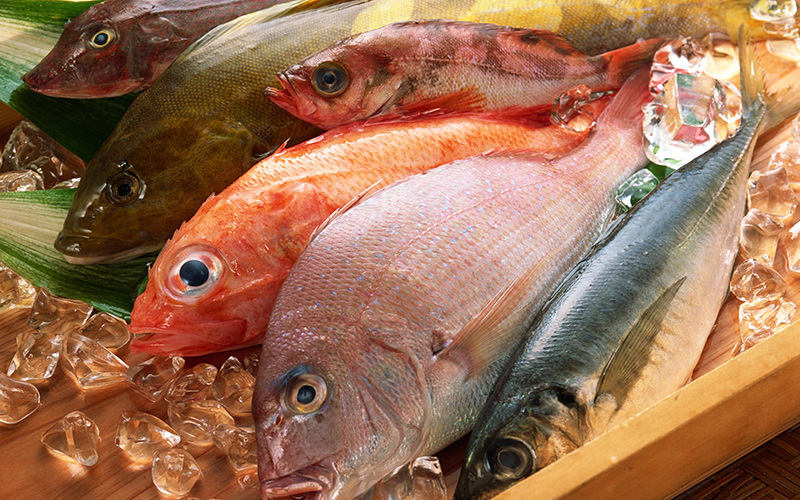 Cá là loại thực phẩm rất giàu axit béo có lợi omega-3, vô cùng cần thiết trong sự phát triển trí não của trẻ