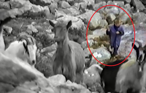 luka-modric-chan-cuu