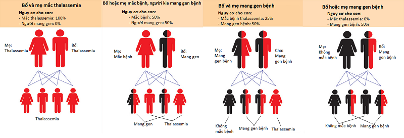 Cách phòng bệnh Thalassaemia