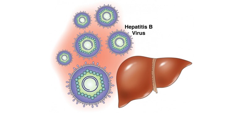 Viêm gan siêu vi B có thể diễn biến như thế nào?

