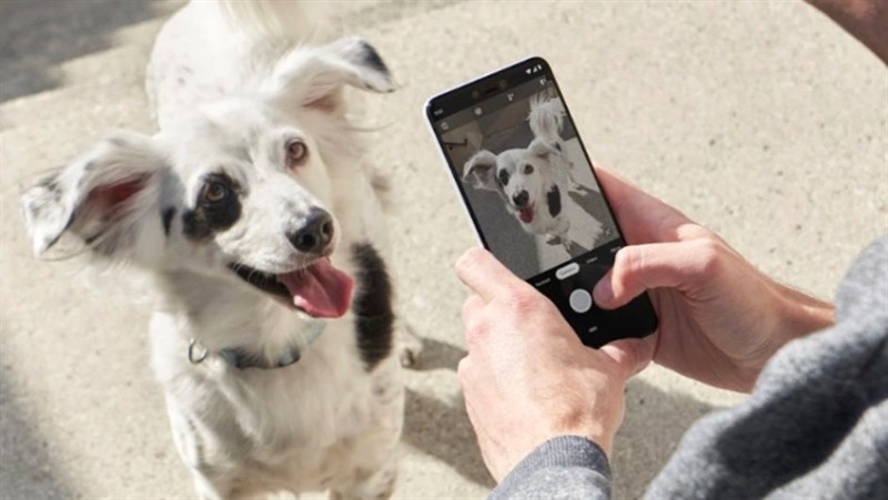 Google cho thấy camera đơn của Pixel 3 tốt hơn camera kép của iPhone Xs Google cho thấy camera đơn của Pixel 3 tốt hơn camera kép của iPhone Xs