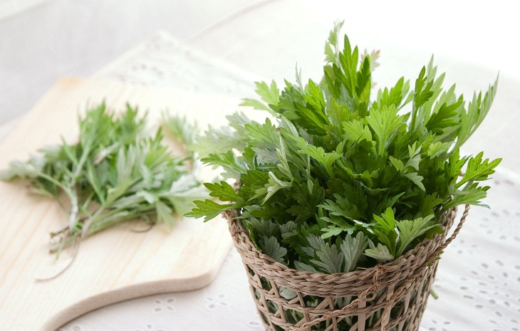 7 cây gia vị ăn tốt cho sức khỏe vừa đuổi muỗi trong những ngày mưa
