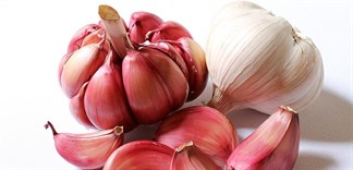 10 tác dụng của tỏi đến chuyên gia cũng phải khen ngợi
