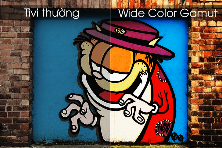 Các công nghệ hình ảnh đặc biệt trên tivi LG > Công nghệ Wide Color Gamut