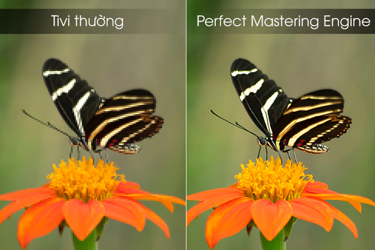 Các công nghệ hình ảnh đặc biệt trên tivi LG > Công nghệ Perfect Mastering Engine