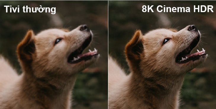 8K Cinema HDR