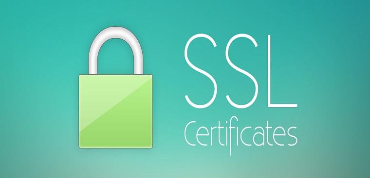 SSL là gì? Tại sao cần sử dụng SSL? – Điện máy XANH