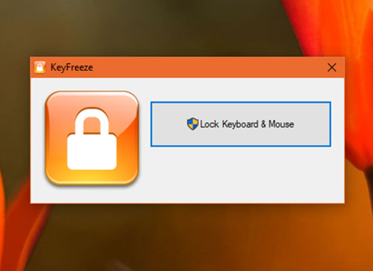 Lock Keyboard & Mouse