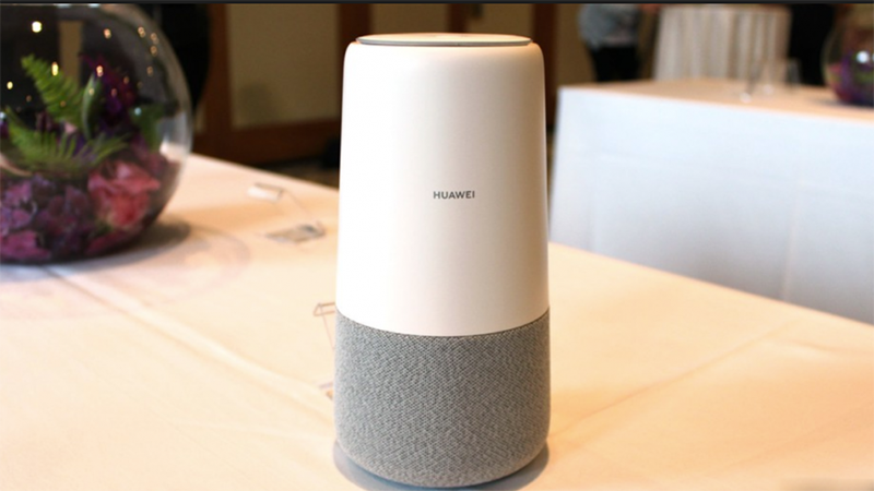 hình đại diện hình đại diện