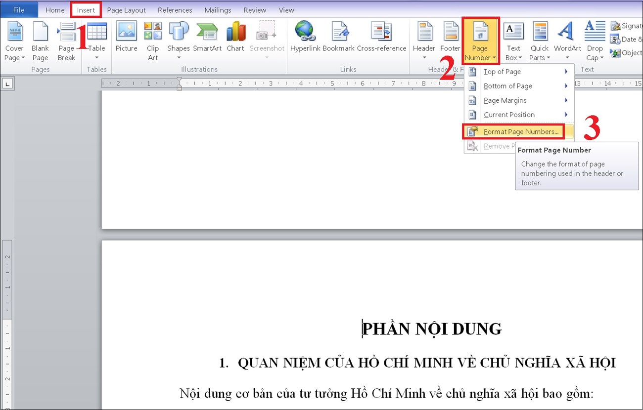 Cách đánh số trang trong Word 2010, 2013, 2016 đơn giản nhất > Chọn Insert -> Page numbers -> Format page numbers.