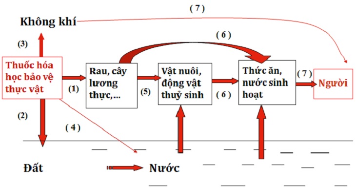 Sơ đồ: Sơ đồ là cách tốt nhất để trình bày các quy trình, dòng chảy công việc hay kế hoạch chọn lọc một cách rõ ràng và súc tích. Hãy nhấn vào hình ảnh để khám phá nhiều hơn về sơ đồ và cách áp dụng chúng vào cuộc sống và công việc.