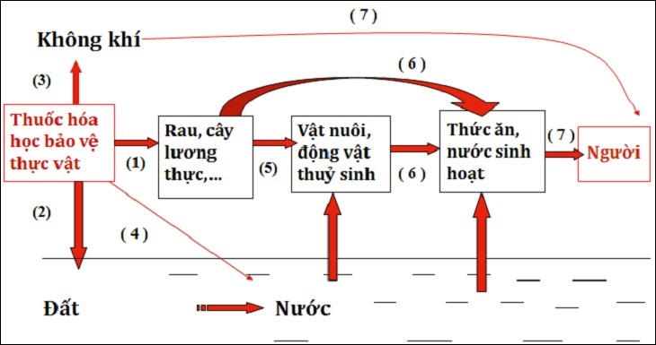 Vẽ sơ đồ trong Word