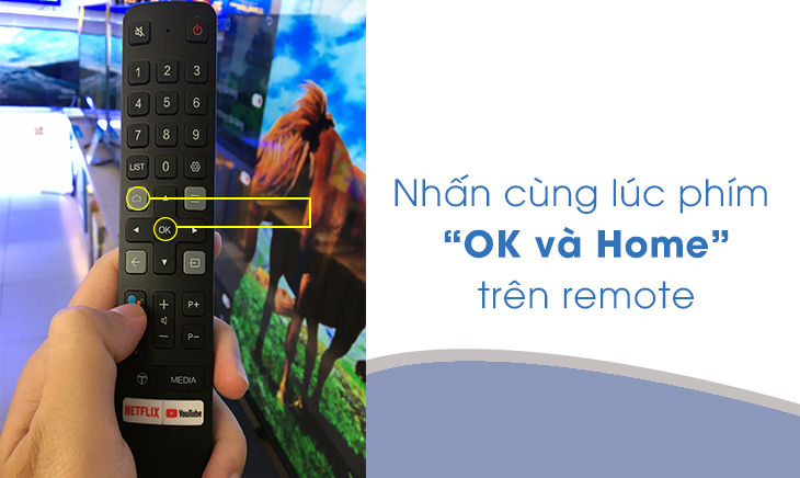 Nhấn cùng lúc 2 phím trên để kết nói remote với tivi