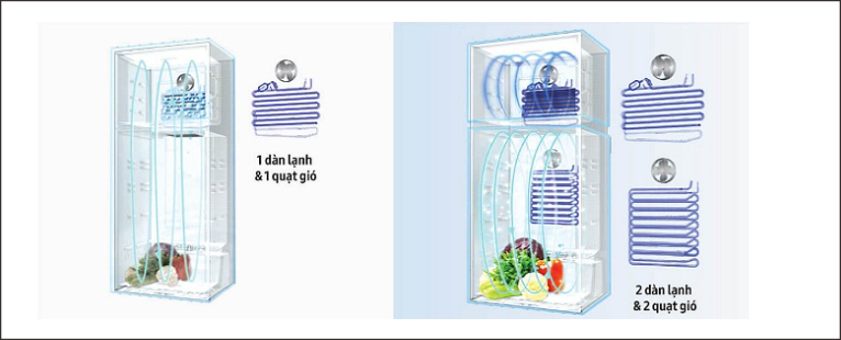 Cấu tạo và nguyên lý hoạt động của tủ lạnh có thể bạn chưa biết