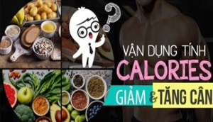 Cách tính calo cơ thể cần để hoạt động trong 1 ngày