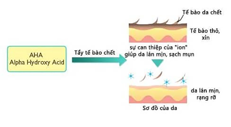 AHA giúp loại bỏ các lớp sừng, tế bào chết ở biểu bì