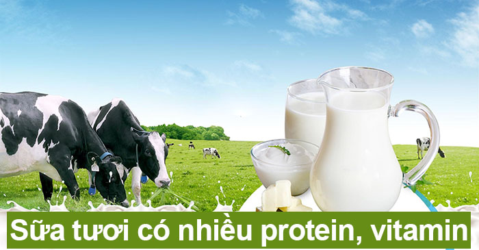 sữa tươi chứa nhiều protein, vitamin tốt cho da