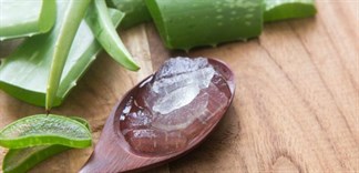Tìm hiểu tác dụng của nha đam, công dụng thứ 3 sẽ khiến nàng mê mẩn