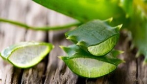 Đánh bay mụn, vết thâm, nám tức thì với mặt nạ nha đam