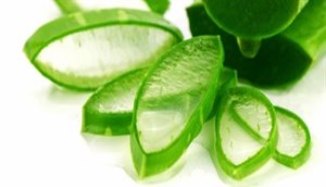 Công thức mặt nạ nha đam giúp nàng nói lời tạm biệt mụn đơn giản