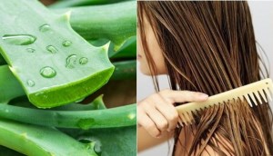 Công thức dưỡng tóc từ nha đam cho mái tóc bồng bềnh, óng ả