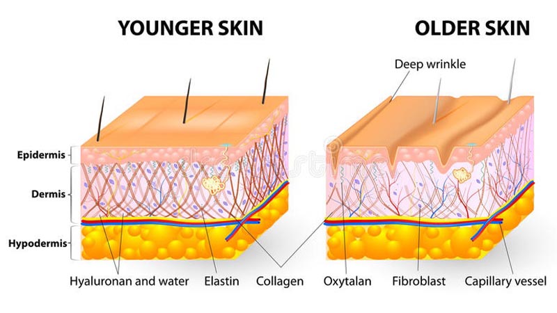 Retinol sẽ cải thiện việc đó bằng cách làm làn da trở nên bằng phẳng và ức chế sự sản sinh melanin.