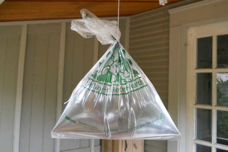 Treo túi nhựa chứa đầy nước