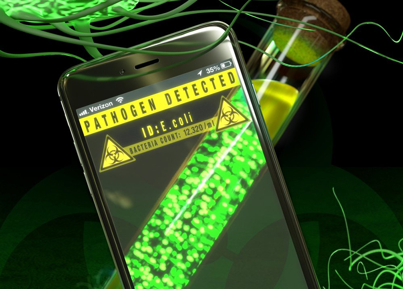 smartphone smartphone