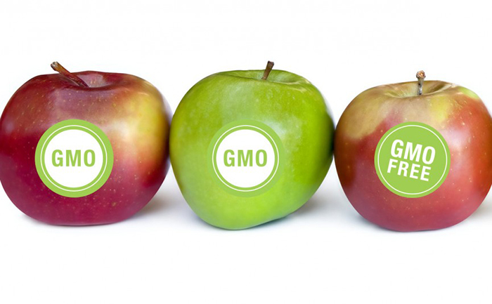 Phân biệt thực phẩm không biến đổi gen và thực phẩm hữu cơ khi mua sắm