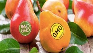 Sự khác biệt của thực phẩm không biến đổi gen và thực phẩm Organic