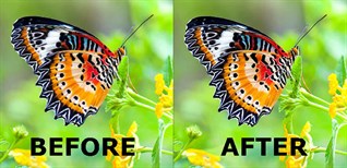 Top phần mềm làm nét ảnh trên laptop đơn giản, dễ dùng