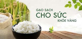 Canh tác lúa gạo bền vững, phương pháp gạo sạch an toàn cho người dùng