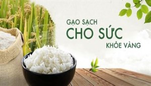 Canh tác lúa gạo bền vững, phương pháp gạo sạch an toàn cho người dùng