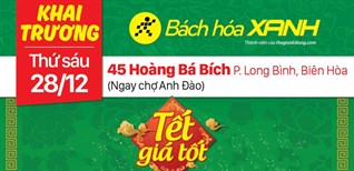 Siêu thị Bách hoá XANH 45 Hoàng Bá Bích khai trương 28/12/2018