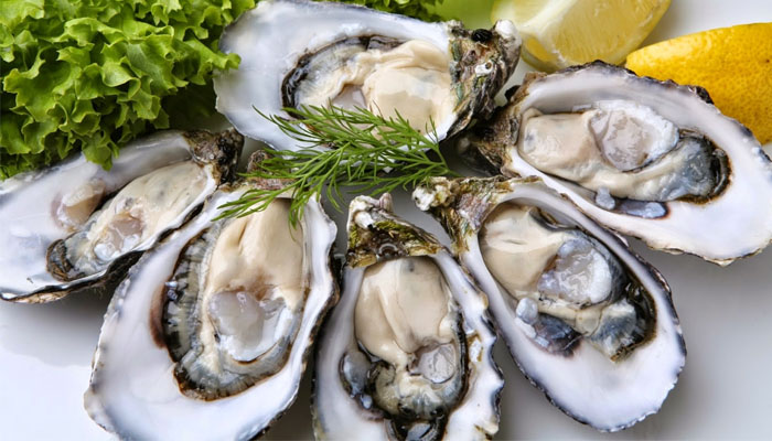 Oysters contain a lot of zinc good for hair
