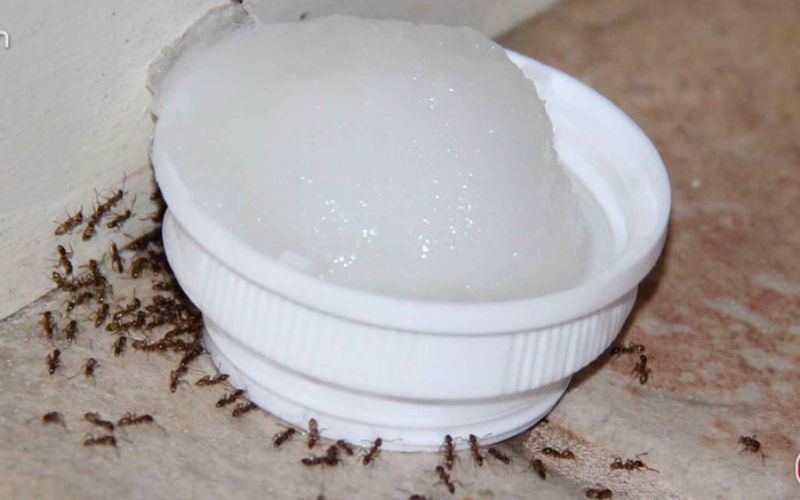 Ứng dụng của hàn the trong đời sống