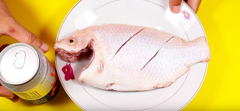 Cá điêu hồng