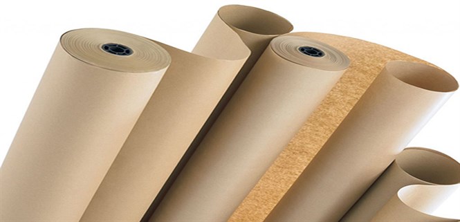 Tổng hợp các loại giấy in thường được dùng với máy in