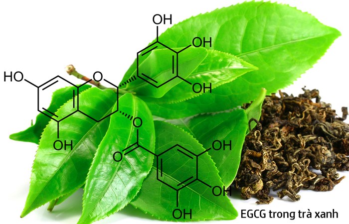 What is EGCG and its uses?