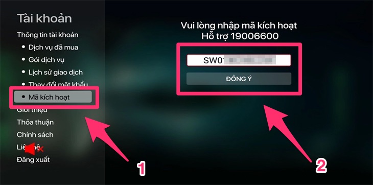 Nhập mã kích hoạt