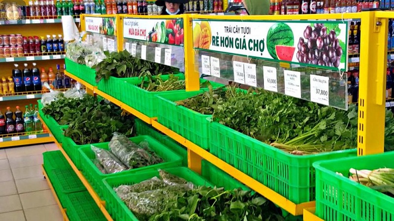 bachhoaxanh bachhoaxanh