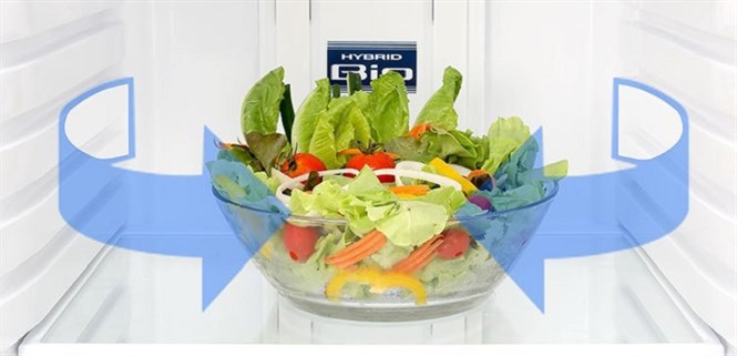 Công nghệ khử mùi kháng khuẩn Duo Hybrid trên tủ lạnh Toshiba là gì?