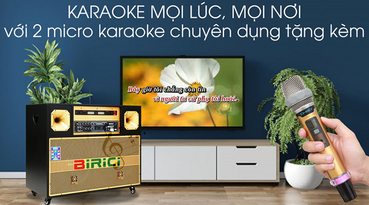 Loa điện Karaoke Birici MX-700 trang bị 2 micro không dây để hát karaoke dễ dàng
